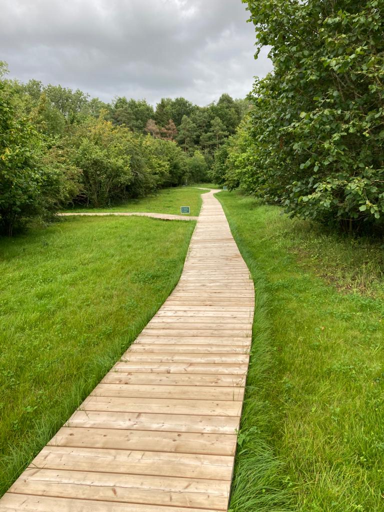 Boardwalk