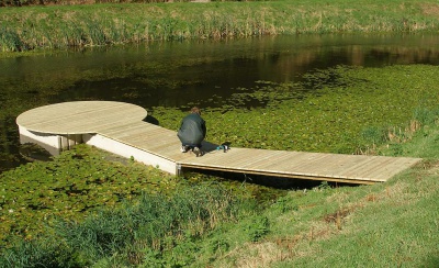 Shooting platform