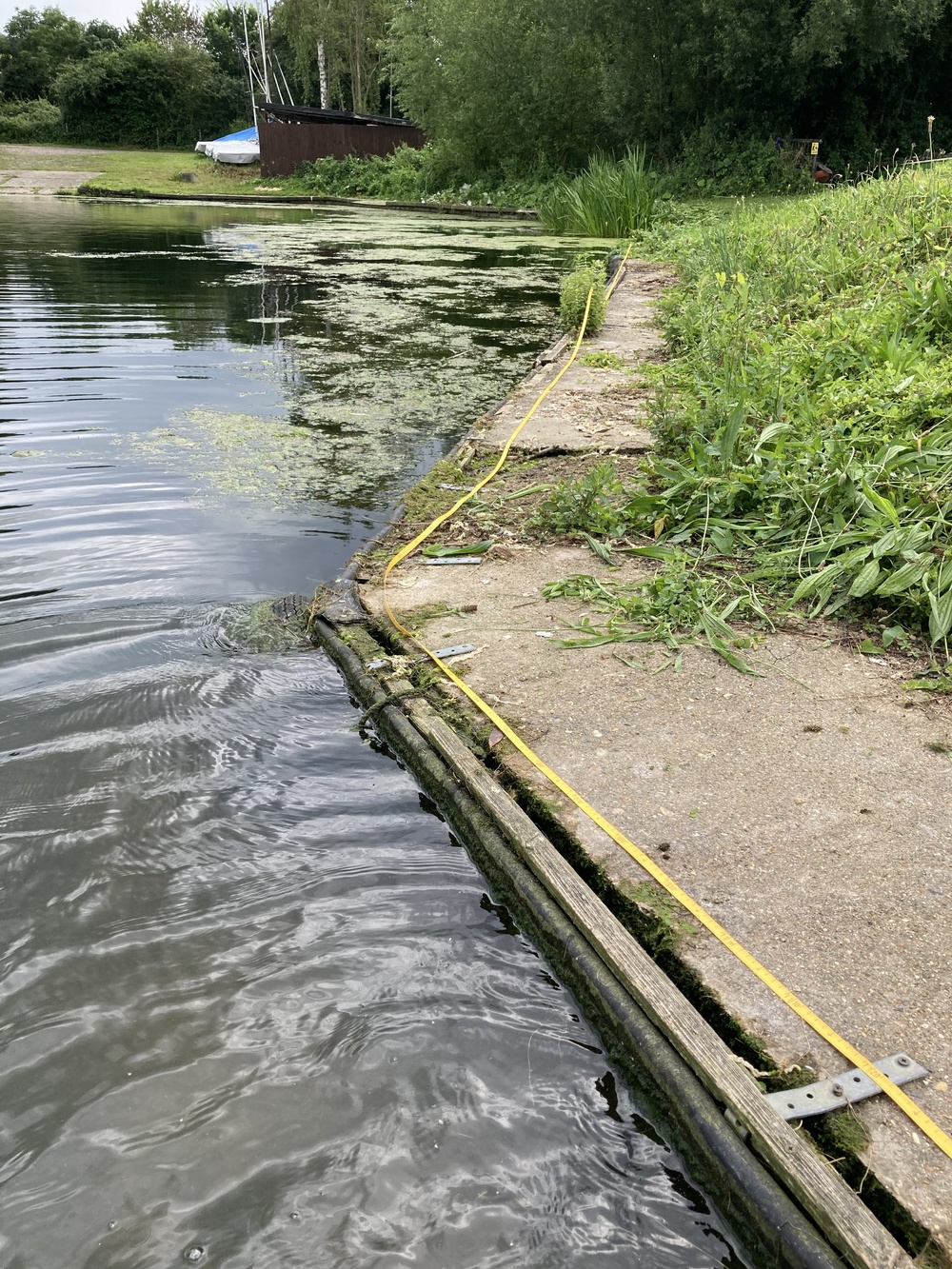Concrete area prior to improvements